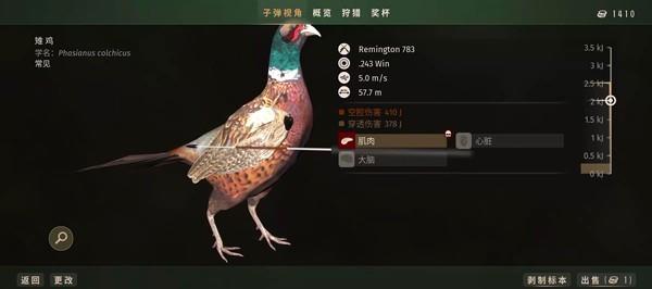 猎人之路手机版下载