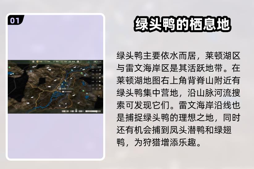 猎人之路手机版下载