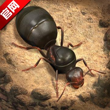 TheAntsv3.69.0最新版